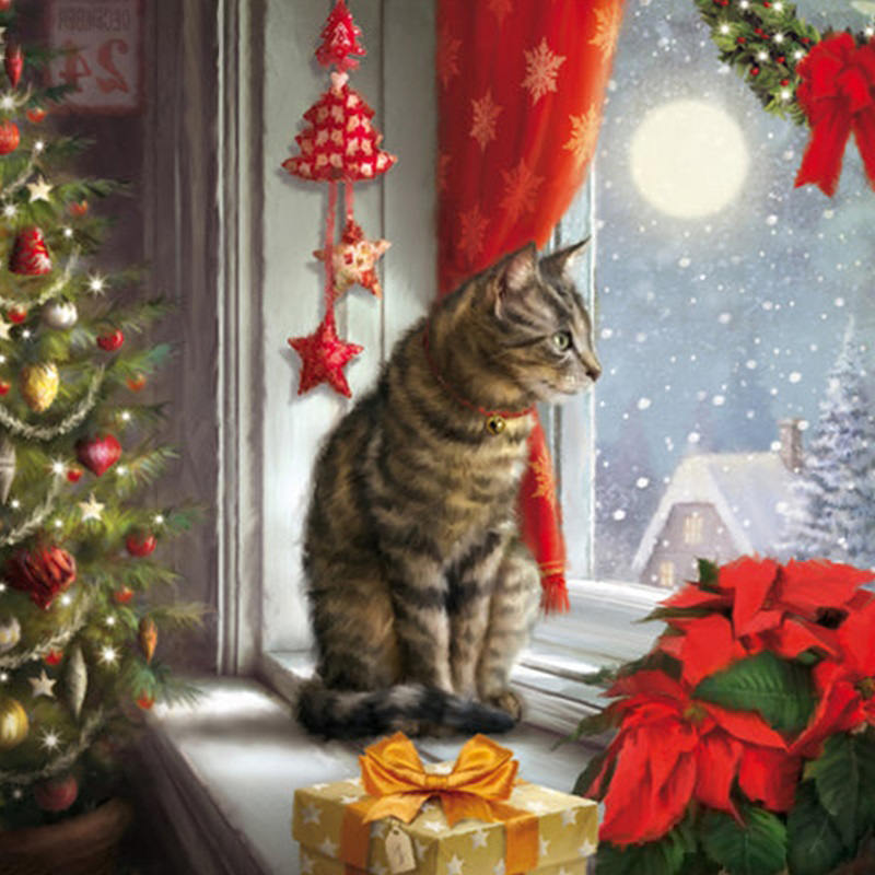 Diamanttavla Christmas Cat In Window 50x50