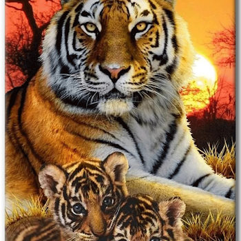 Diamanttavla (R) Sunset Tigers 40x50