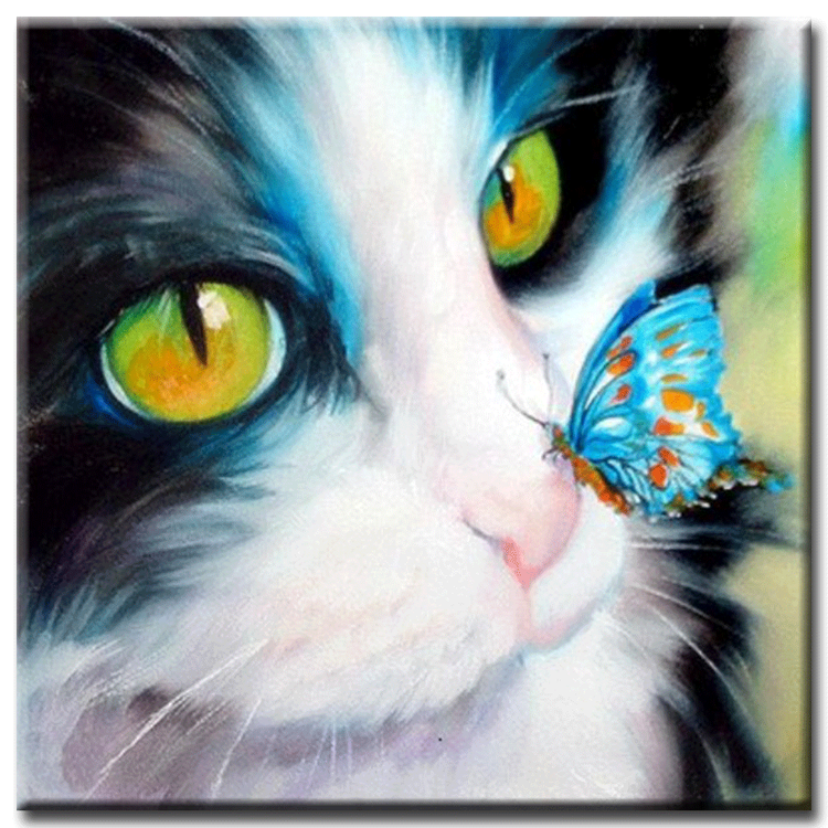 Diamanttavla Cat And Butterfly 30x30