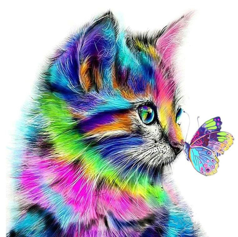 Diamanttavla Colorful Cat And Butterfly 30x30