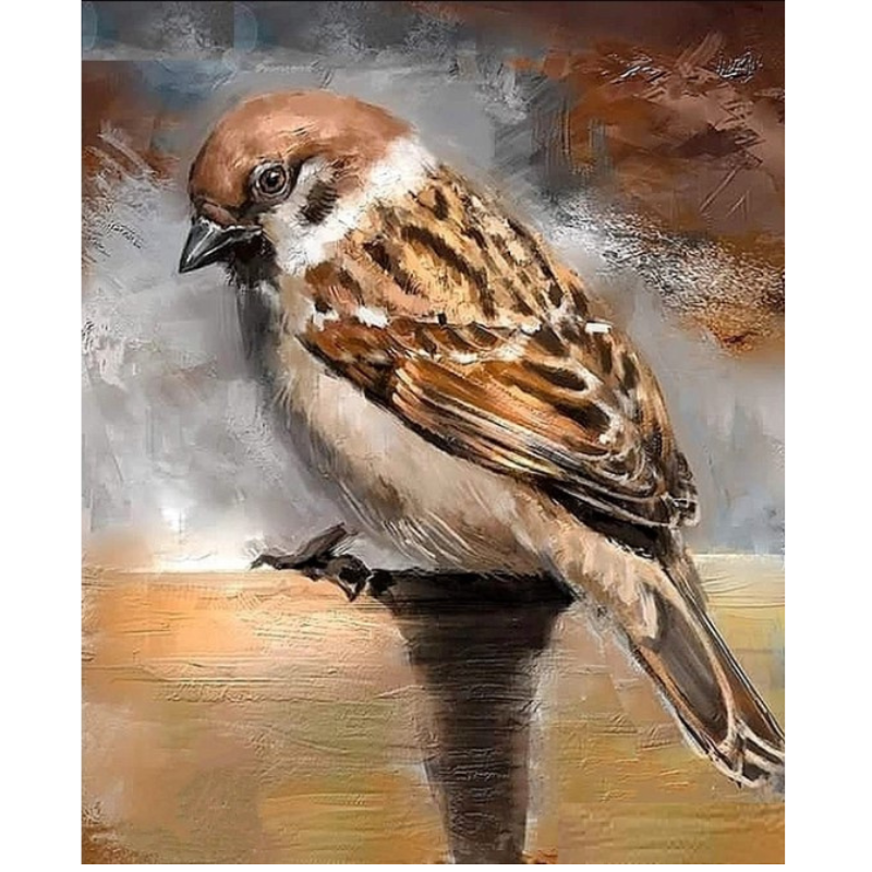 Diamanttavla Sparrow 30x40