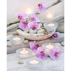 Diamanttavla Orchid And Stones 40x50 - Leverans v. 26-27