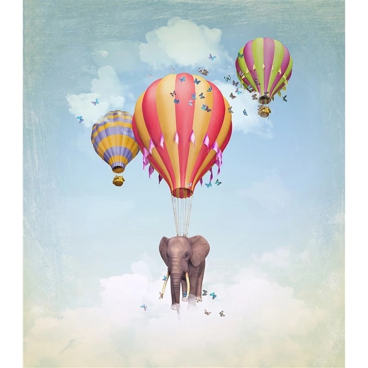 Elephant And Balloon 40x50