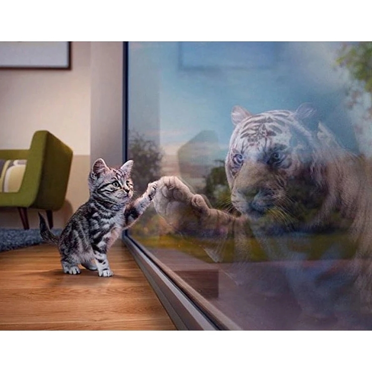 Diamanttavla Cat And Tiger Mirror 40x50
