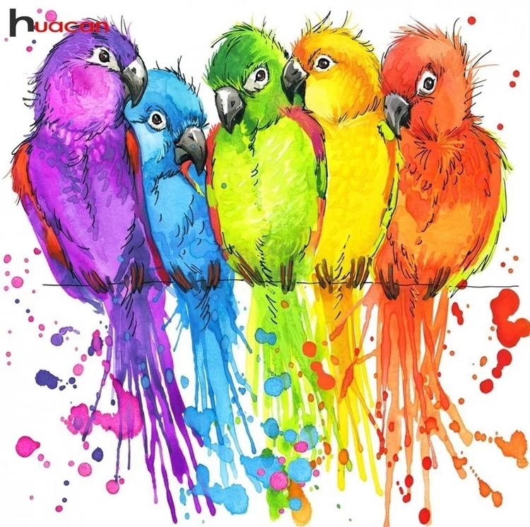 Diamanttavla Color Parrots 40x40