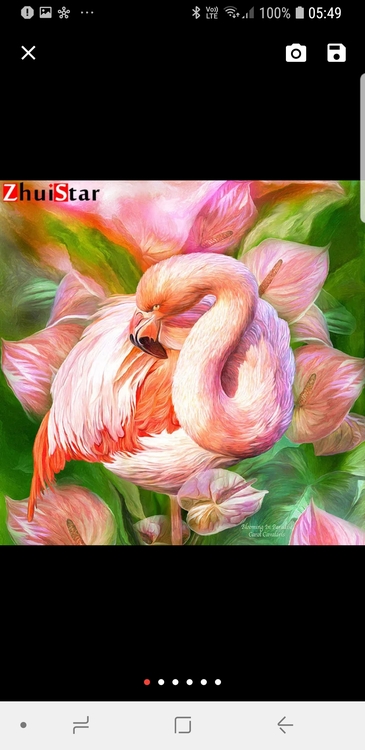 Diamanttavla Flamingo And Flowers 40x40