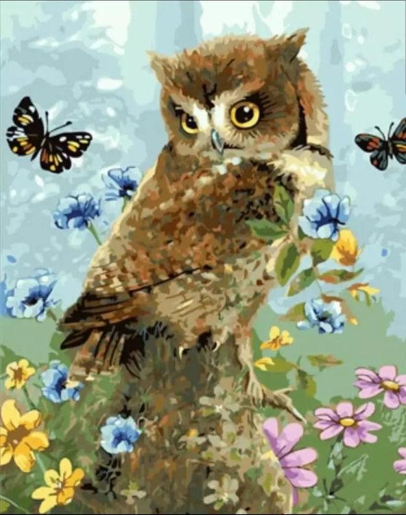 Paint By Numbers Spring Owl 40x50