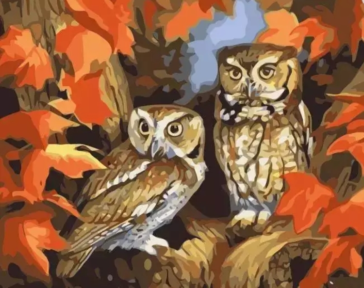 Paint By Numbers Autum Owls 40x50