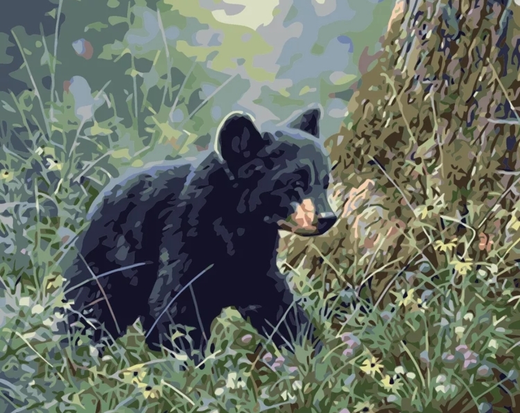 Paint By Numbers Baby Bear 40x50