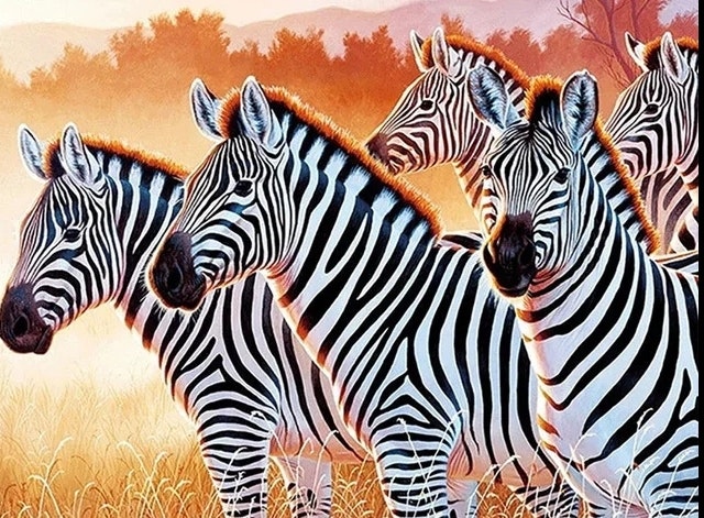 Diamanttavla Zebras 40x50