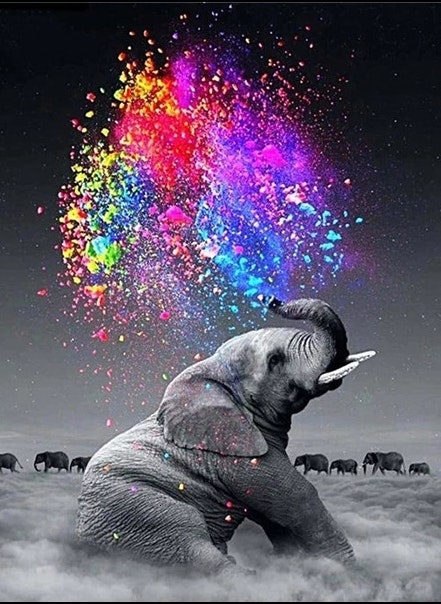 Diamanttavla Elephant Color 40x50