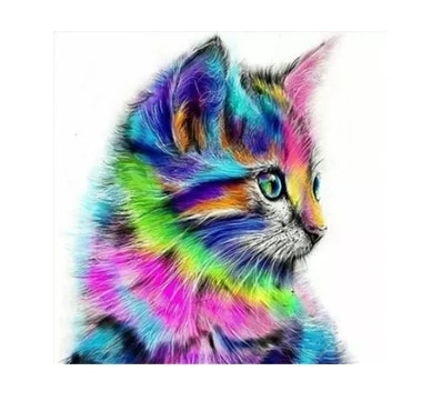 Diamanttavla Colorful Cat 40x50