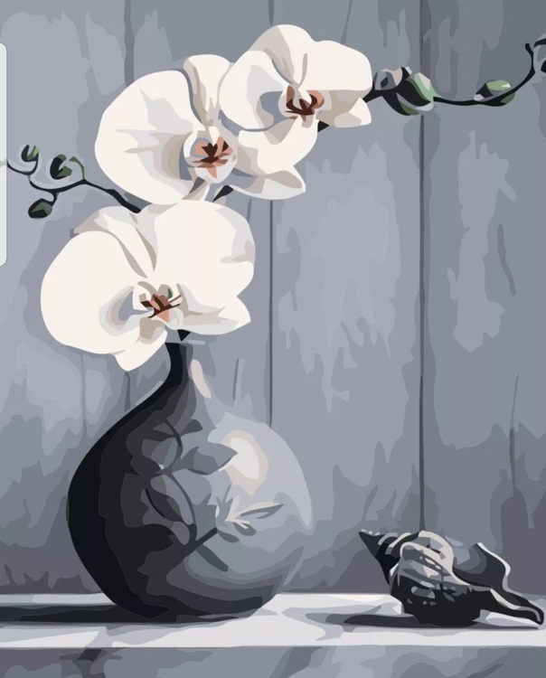 Paint By Numbers Orchid And Shell 40x50