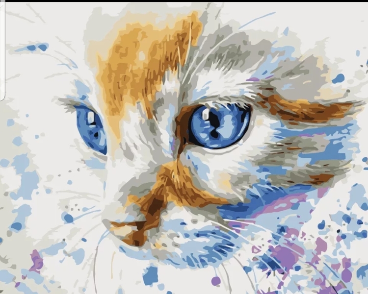 Paint By Numbers Cat Blue Eye 40x50 - Leveranstid 1-3 Dagar