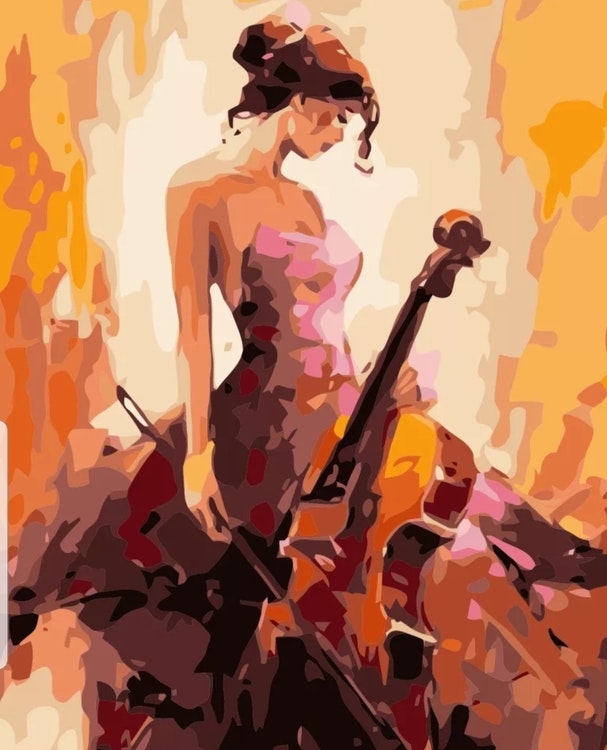 Paint By Numbers Woman With Cello 40x50