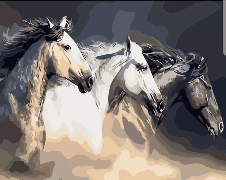 Paint By Numbers Three Horses 40x50