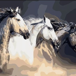 Paint By Numbers Three Horses 40x50