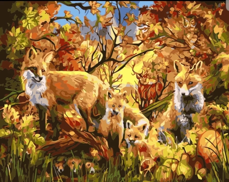 Paint By Numbers Foxfamily 40x50