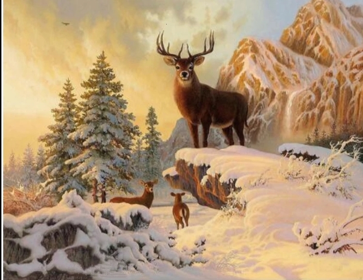 Diamanttavla Snow Mountain Deer 40x50