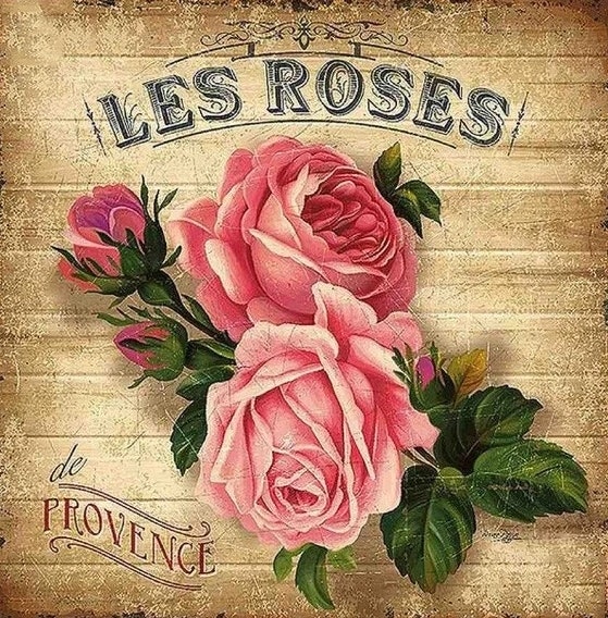 Diamanttavla Les Roses 40x40