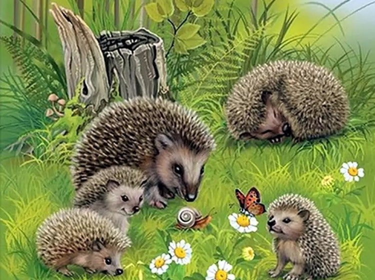 Diamanttavla (R) Hedgehog Family 40x50