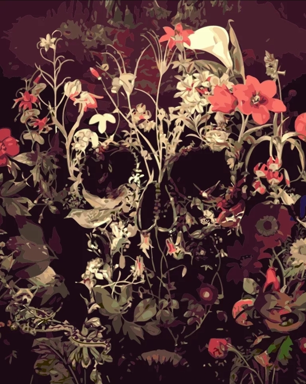 Paint By Numbers Flower Skull 40x50
