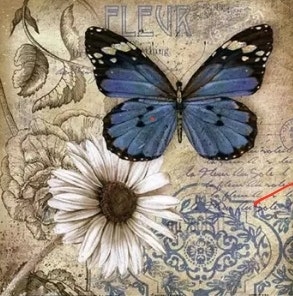 Diamanttavla Blue Butterfly White Flower 40x40