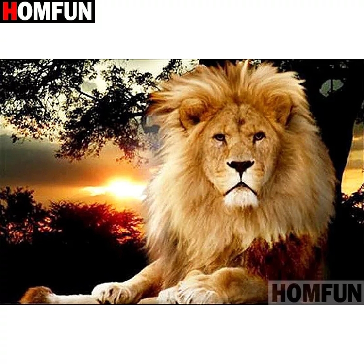 Diamanttavla Lion In Sunset 40x50