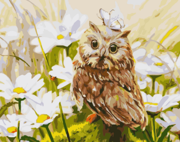 Paint By Numbers Summer Owl 40x50