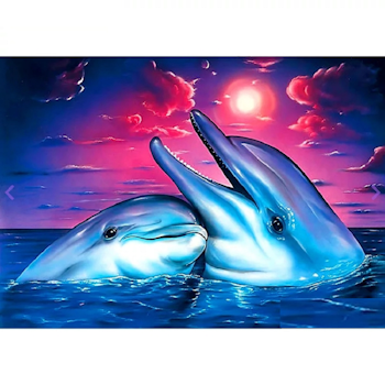 Diamanttavla (R) Happy Dolphin 40x50