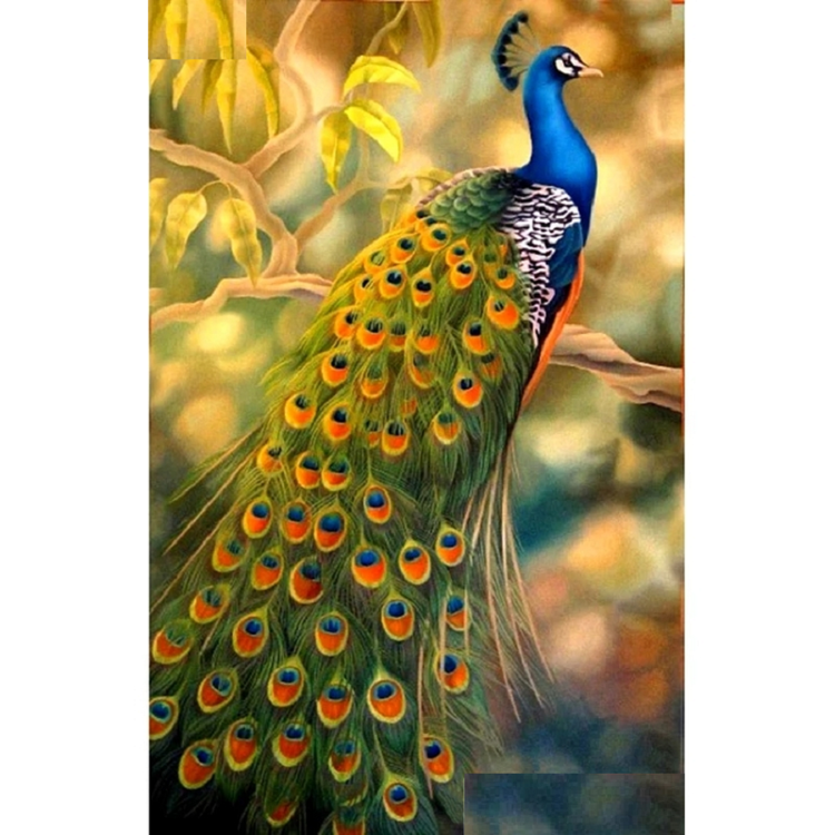 Diamanttavla (R) Beautiful Peacock 50x70