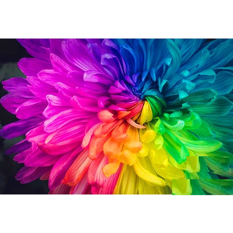 Diamanttavla (R) Colored Flower 40x50