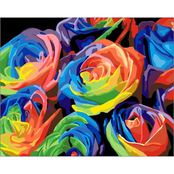 Paint By Numbers Colorful Roses 40x50