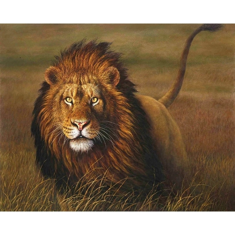 Paint By Numbers Hunting Lion 40x50