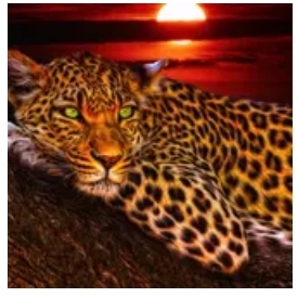 Diamanttavla Leopard Green Eye 40x50