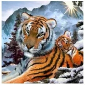 Diamanttavla Mountain Tigers 40x50
