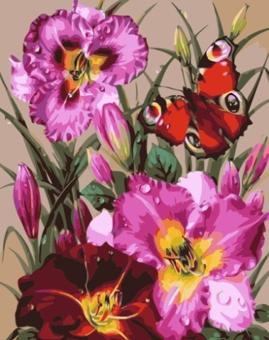 Paint By Numbers Flowers And Butterfly 40x50