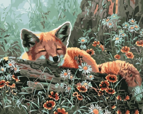 Paint By Numbers Sleeping fox 40x50 - Leveranstid
