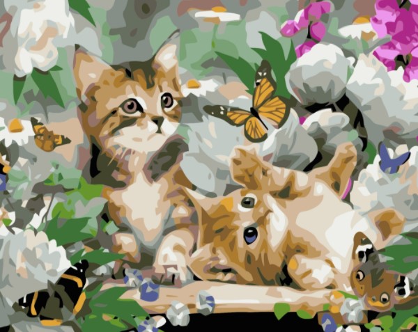 Paint By Numbers Cats And Butterflies 40x50