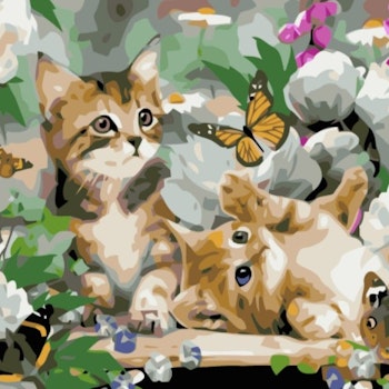 Paint By Numbers Cats And Butterflies 40x50