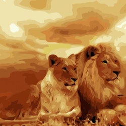 Paint By Numbers Lions 40x50