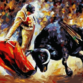 Paint By Numbers Matador 40x50