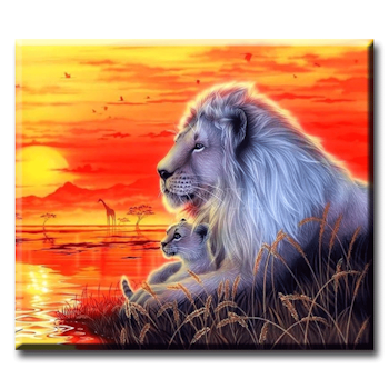 Diamanttavla (R) Sunset Lion 50x70