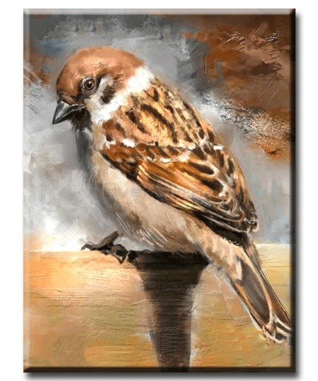 Diamanttavla (R) Sparrow Bird 40x50