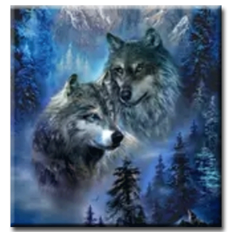 Diamanttavla Snow Mountain Wolf 50x70