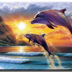 Diamanttavla (R) Jumping Dolphins 40x50