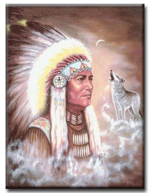 Diamanttavla Indian And Wolf 40x50