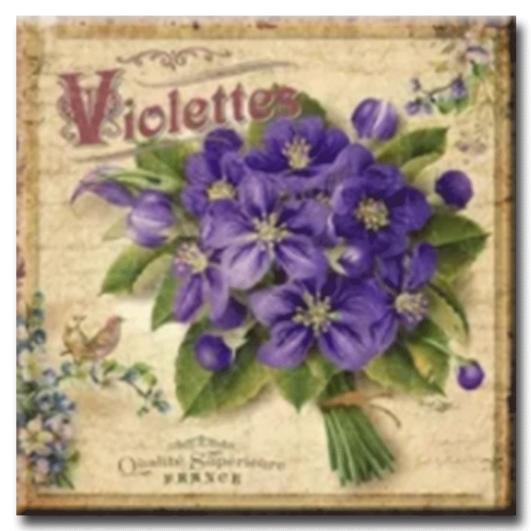 Diamanttavla Violettes 50x50