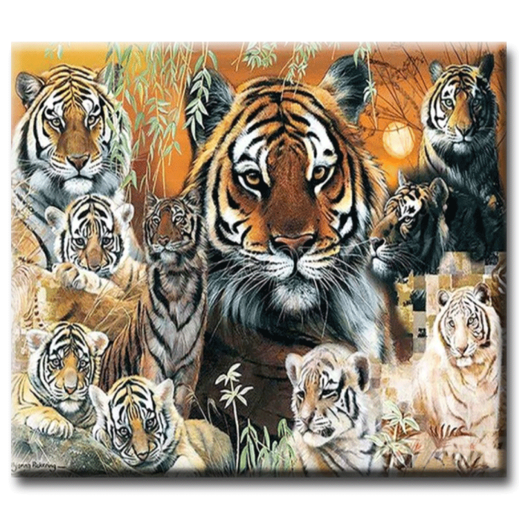 Diamanttavla Beautiful Tigers 50x70