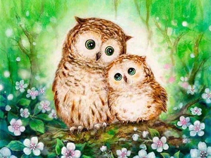 Diamanttavla Cute Owls 40x50